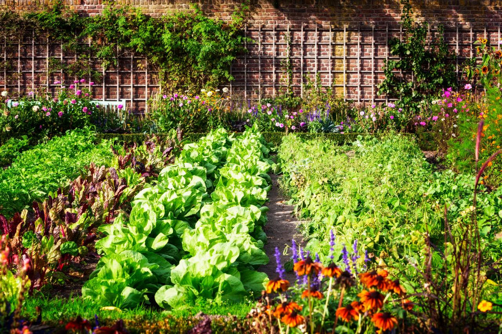 Start planning your spring time garden