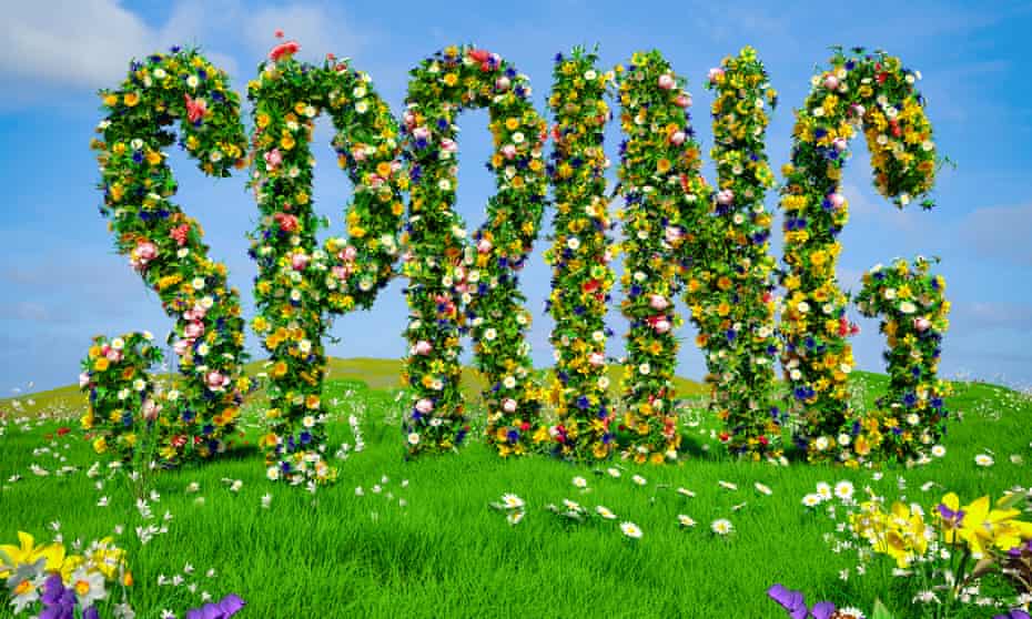 SPRING LAWN AND LANDSCAPE CARE