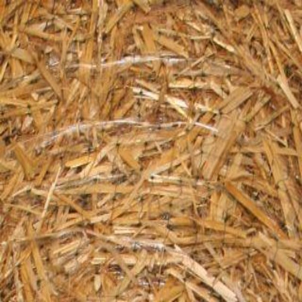 STRAW BLANKET 16' Width