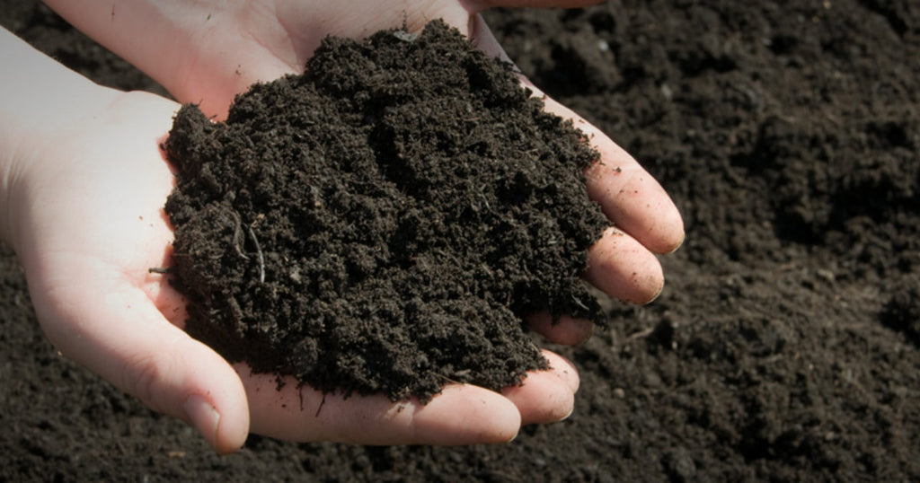 Topsoil uses to consider for your lawn and garden