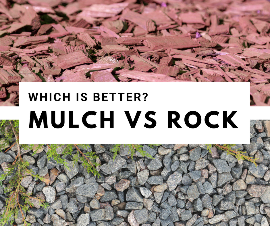 Rocks VS Mulch in flower beds